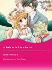Capture d’écran (411)