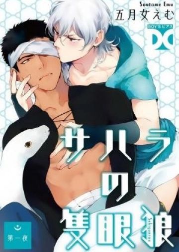 Le loup borgne du Sahara