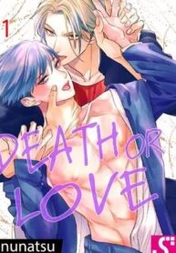 death-or-love-1-285x399_resultat