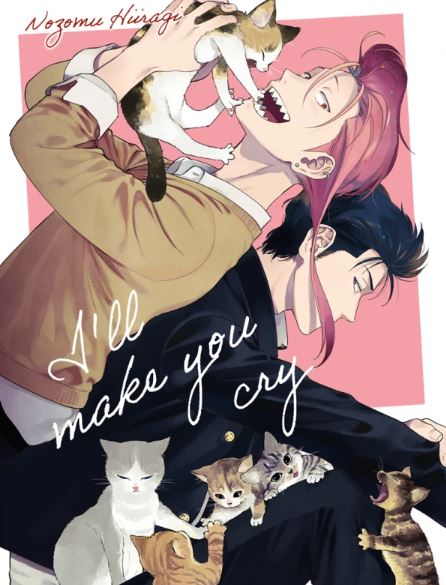 Nakasete Yaru yo Yankee-kun