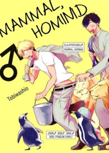 Mammifères, hominidés