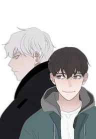 48716